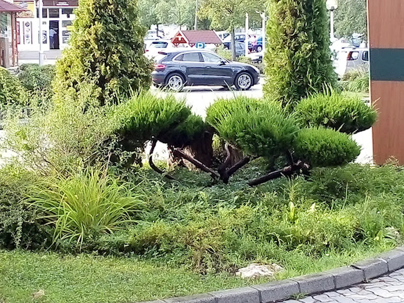 A Meki Drive-i növény az átalakítás előtt